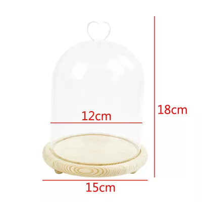 Buy Small/Large Wooden Base Glass Dome Display Cloche Bell Jar Ball Home DIY Decor • 8.95£