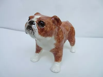 Buy Winstanley Tan And White Bulldog With Glass Eyes. Size 3, Signed • 27.50£