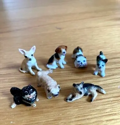 Buy Collection Of 7 Miniature Ceramic Dogs/pug/chihuahua  -  Ornaments/Figurines • 16£