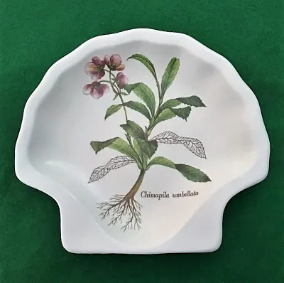 Buy Beautiful Poole Pottery Country Lane Shell Shape Botanical Print Dish. Soap? • 6.50£