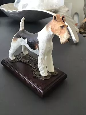 Buy Albany Fine China Wire Haired Fox Terrier Dog Pedigree Pet Food Bronze WORCESTER • 29.99£