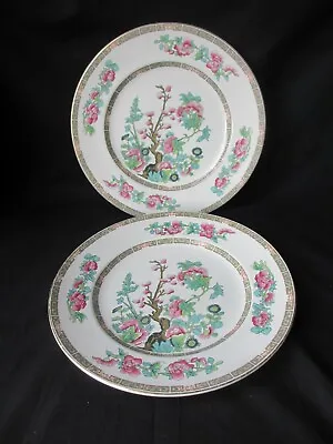 Buy 2 John Maddock & Sons Indian Tree,10  Or 25 Cm Dinner Plates,no Chips Or Crazing • 15.99£