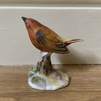 Buy Royal Adderley Floral Bone China Brown Warbler Bird Figurine • 9.99£