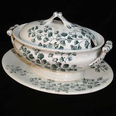 Buy Staffordshire Child Green Toy 3pc Soup Tureen MAIDEN HAIR FERN Ridgway 1890 • 43.16£