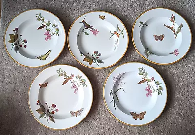 Buy 5 Antique 1870s Wedgwood Creamware Plates Soup 10 1/4  Butterfly Hummingbird • 180£