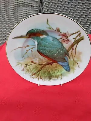 Buy Fenton China Staffordshire Top Quality 4 Bird Plates Going On Site Check Pic   • 2.49£