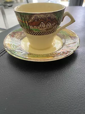 Buy Myott .Son & Co,Hanley.  English Countryside  Cup And Saucer Set.L • 7.90£