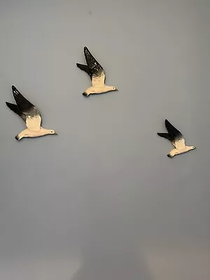 Buy Beswick Ceramic Bird Graduated Flying Seagull Wall Plaque • 180£