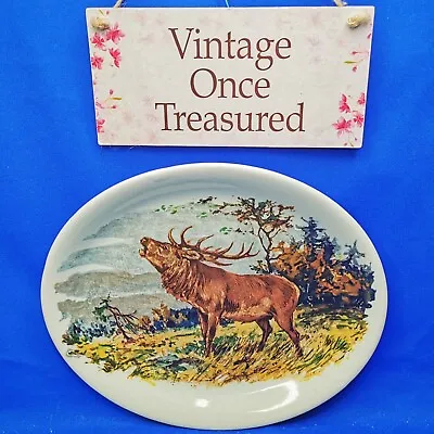 Buy Alfred Meakin Oval Serving Plate With STAG Painting (11  Width) * Vintage 1950s  • 9.90£