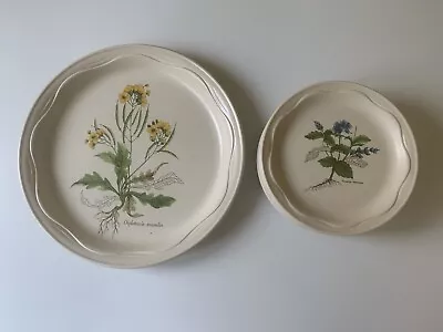 Buy Poole Country Lane Tea Plates 17cm D X 6 And A Larger Plate X D 26cm • 30£