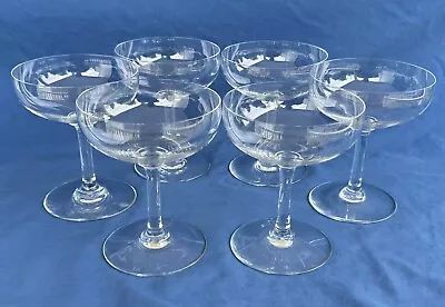 Buy Set Of 6 Vintage Baccarat Crystal 4 5/8  Coupe Champagne Glasses Perfection • 226.37£