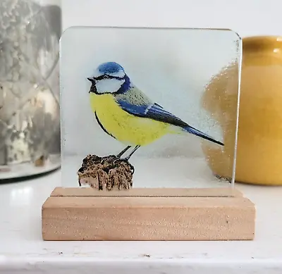 Buy Stained Glass Blue Tit Bird Suncatcher Stain Glass Gift Decoration Window Birds • 25£