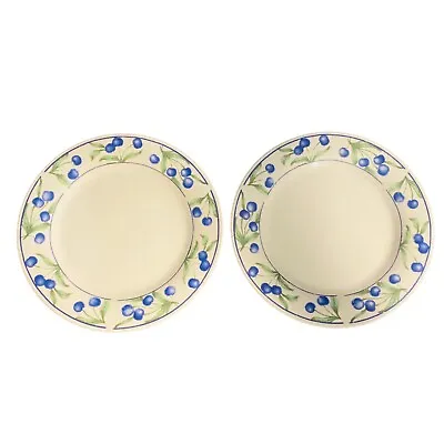 Buy Tienshan Side Plate X2 Tableware Plates Blue White Green Berry Berries 7.5  • 9.19£