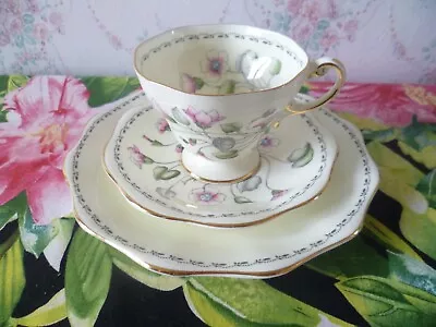 Buy Vintage Foley China Trio Tea Cup Saucer Plate Dwarf Geranium 3468 • 8£