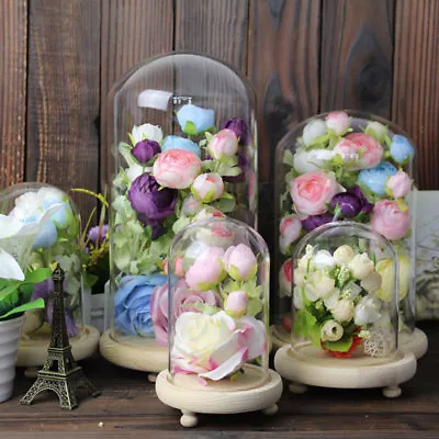 Buy 6 Sizes Decorative Glass Dome With Wooden Base Cloche Bell Jar DIY Display Stand • 8.95£