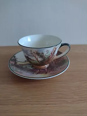 Buy Royal Doulton Seriesware   Rustic England  Rare Shape Cup And Saucer • 16£
