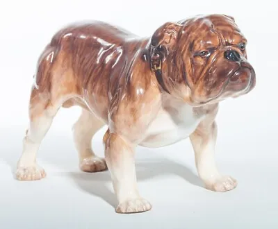 Buy Royal Doulton Animals Large Bulldog HN1042 Brown & White - UK Made • 575£