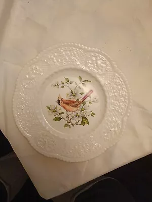 Buy Vintage Royal Cauldon Plates Hand Painted Beautiful Cardinal Plate, 9 Inch • 15£