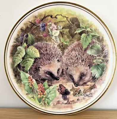 Buy Vintage Royal Vale Collection Staffordshire  European Hedgehog  Plate • 4.50£
