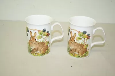 Buy 2 X Fine Bone China ~Roy Kirkham Coffee Mugs In VGC ~Rabbit Design (SC32) • 7.95£
