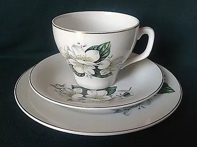 Buy Wood & Sons Alpine White Tea Trio Ironstone China Tea Cup Saucer And Side Plate • 41.95£
