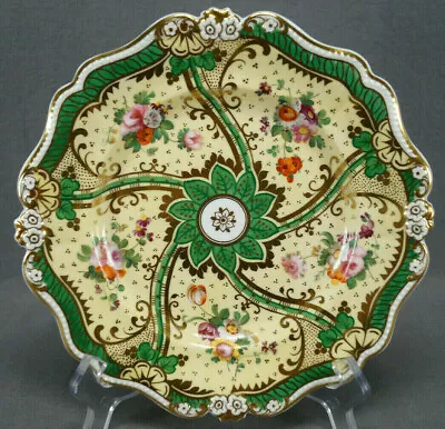 Buy Ridgway 2889 Hand Painted Floral Yellow Green & Gold 8 3/4 Inch Plate Circa 1835 • 311.80£