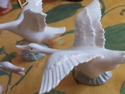 Buy 3 X Vintage Lladro Spain Porcelain White Goose Duck Figurine Ornament Set.no Box • 34£
