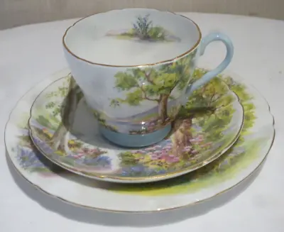 Buy Shelley England Fine Bone China Tea Cup Saucer & Plate Trio Woodland -Vintage • 29.99£
