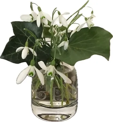 Buy Emma Bridgewater Beautifully Etched Small Glass Vase • 27£