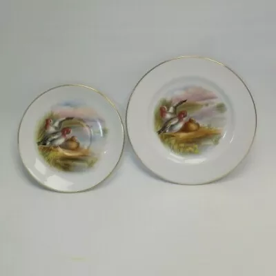 Buy Copeland Spode Hand Painted Saucer And Side Plate Wigeon Pattern Gilded Rim • 19.99£