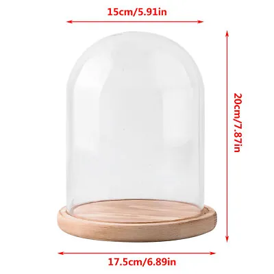 Buy Glass Display Cloche Bell Jar Dome With Wooden Base Decorative Desk Vintage UK • 13.99£
