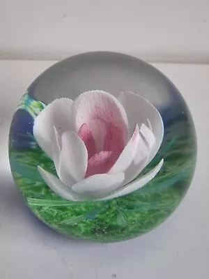Buy Caithness Paperweight Limited Edition 270/1000 Flower Opus 88 • 21£