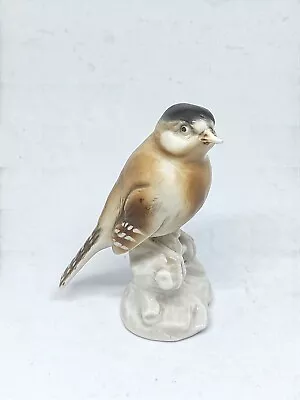 Buy Vintage Dresden  Porcelain Bone China Bird Figurine Sculpture  • 14£