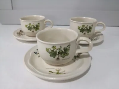 Buy Poole Pottery COUNTRY LANE Set Of THREE Cups And Saucers  • 6.99£