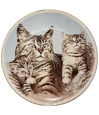 Buy Cat Plate Staffordshire Fine Bone China Kittens Tabbby Made In England 8  Round • 8.41£