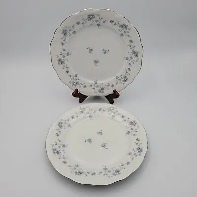 Buy Vtg Johann Haviland Blue Garland China Dinner Plates Floral Pattern Set Of 2  • 38.75£