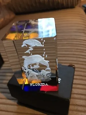 Buy New Florida Dolphin 3D Coloured Laser Etched Glass Solid Glass Paperweight • 15£