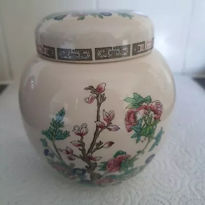 Buy Vintage 5” Sadler England Ginger Jar /tea Caddy Indian Tree Decor • 4£