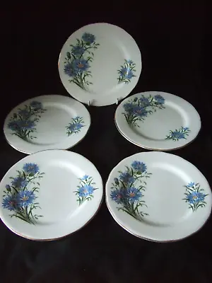 Buy 5 X Queen Anne Cornflowers  Design Bone China Tea Side Plates • 7.99£