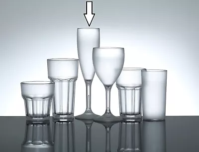 Buy Frosted Plastic Wine Glasses, Champagne Flutes & Tumbler Glasses - Polycarbonate • 44.95£