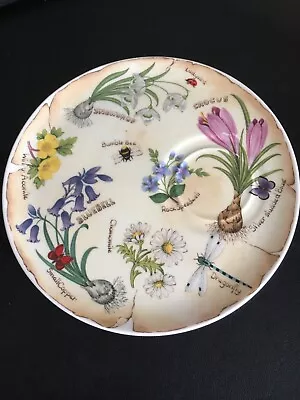 Buy Roy Kirkham Flora Botanica Saucer Plate • 7£