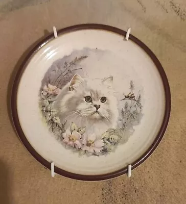 Buy Small Cute White Cat Plate On Hanger Purbeck Pottery  • 8.99£
