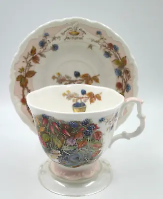 Buy Brambly Hedge Royal Doulton Season Autumn Full Size Cup And Saucer Bone China • 20£