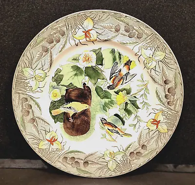 Buy The Birds Of America Adams China Baltimore Oriole Dinner Decorative Plate • 66.41£