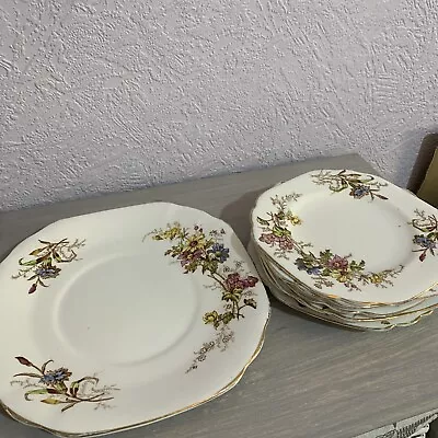 Buy Vintage Rosina Crown Fine Bone China Serving Plate And 6 Tea Plates Replacement  • 10£