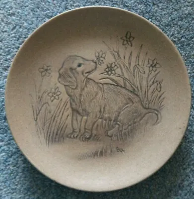 Buy Stoneware Poole Pottery Plate Dachshund Sniffing Flowers Marked 'J'  • 7.50£