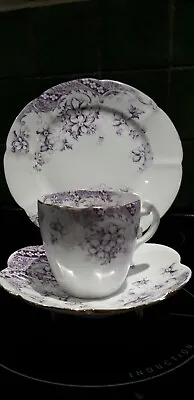 Buy Shelley Foley Wileman Cup Saucer Plate Trio C.1893-1910 • 35£