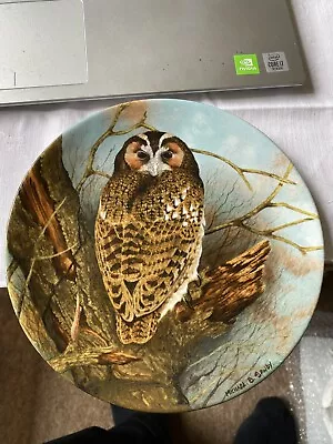 Buy COALPORT - TAWNY OWL - Fine Bone China Collector Plate • 4£