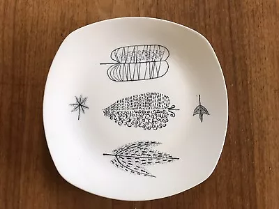 Buy Midwinter Terence Conran Nature Study Tea / Side Plate - 7.5  X 7.5  • 10£