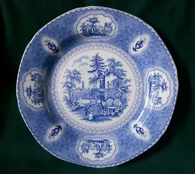 Buy Burgess & Leigh Burleigh Ware Tranquil Garden Plate Ironstone Dinner Plate Blue • 23.95£